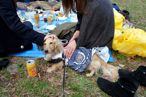 2012040303