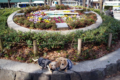 2012040311
