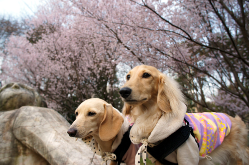 2012040407