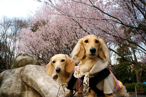 2012040408