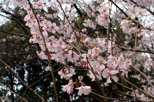 2012040409