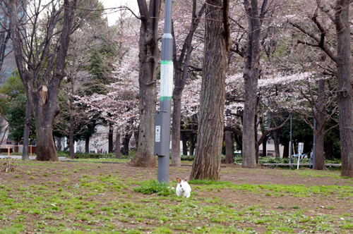 2012040412