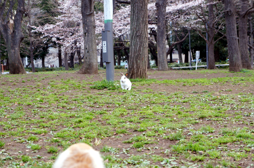 2012040501