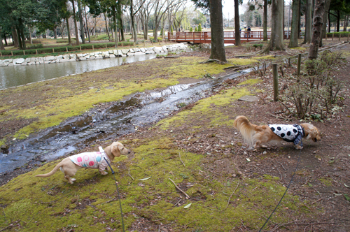 2012040802