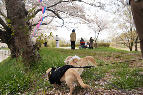 2012041705