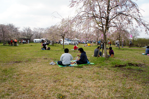 2012041803