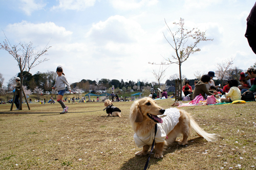 2012041906