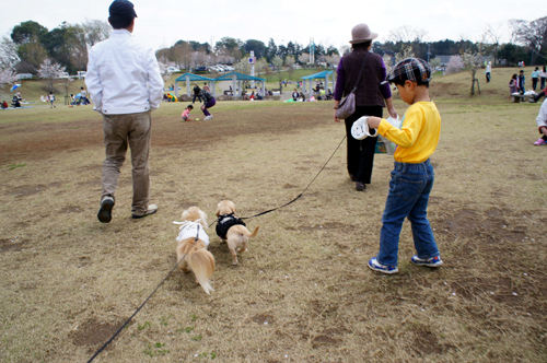2012041908