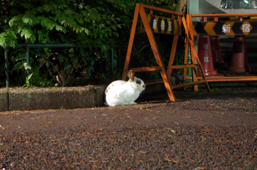 20120428007