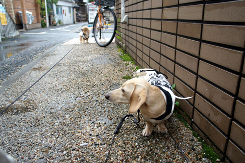 2012050719