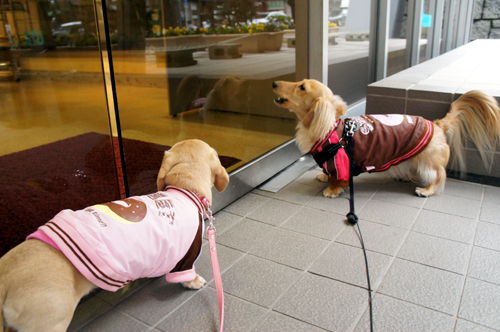 20130124010.jpg