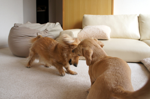 2013012502.jpg