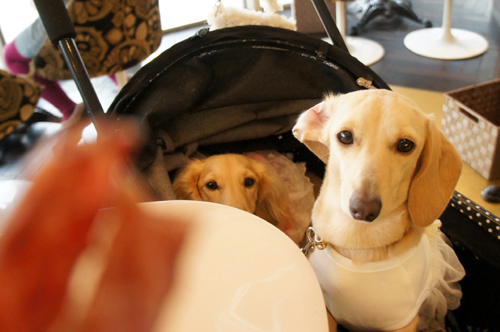 2013012621.jpg