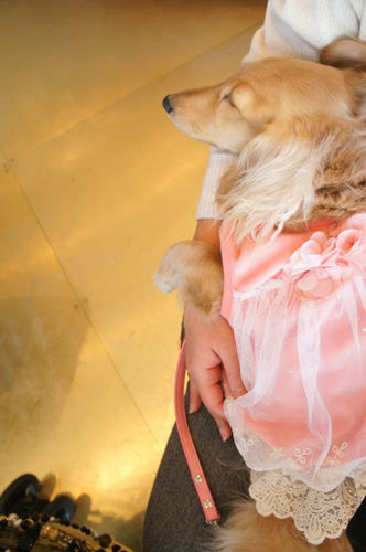 2013012623.jpg