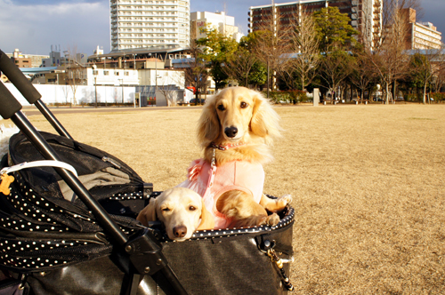 2013012625.jpg