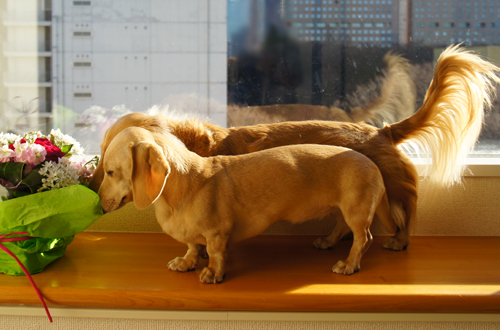 2013012801.jpg