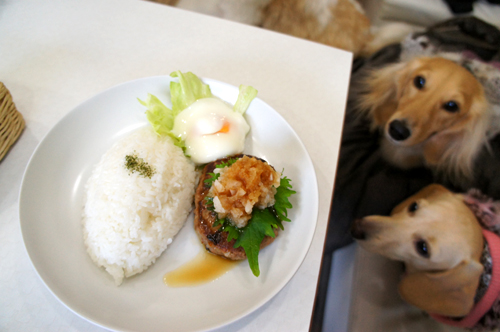 2013013014.jpg