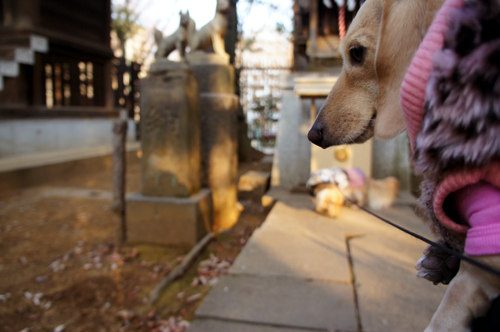2013013103.jpg