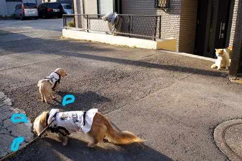 20130202011.jpg