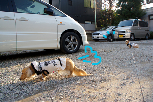 20130202015.jpg
