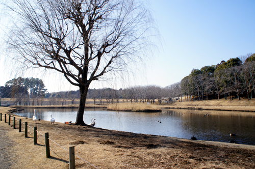 2013020212.jpg
