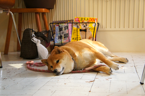 2013020422.jpg