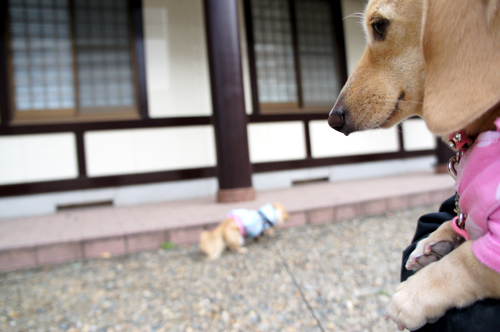 2013020503.jpg