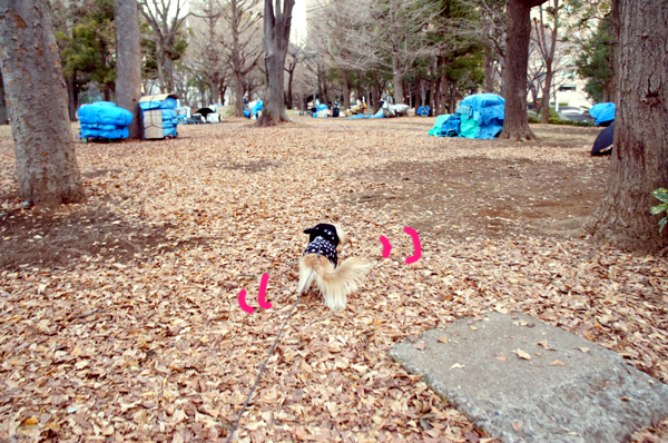 2014013105.jpg