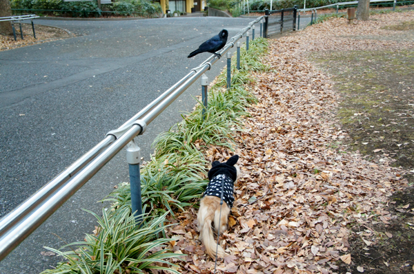 2014013106.jpg