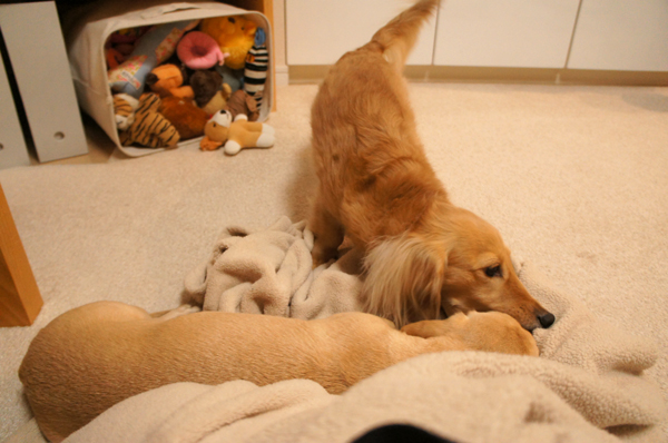 2014013112.jpg