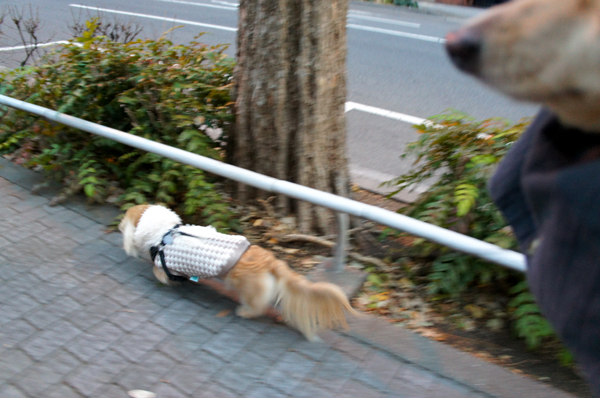 2014020104.jpg