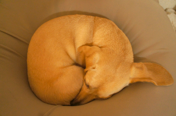 2014020116.jpg