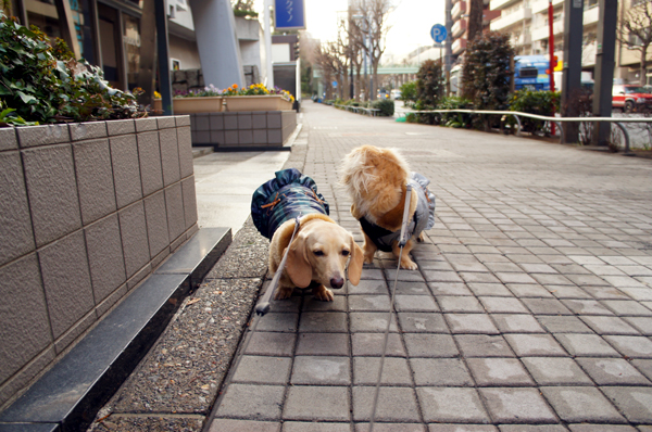 2014020213.jpg