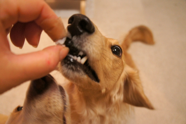 2014020322.jpg