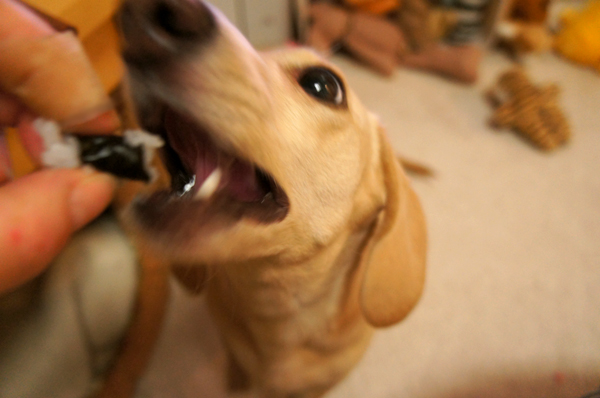 2014020323.jpg