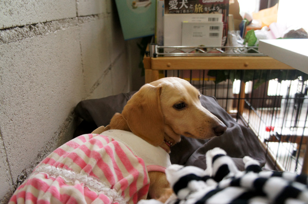 2014020606.jpg