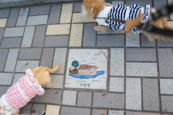 2014020612.jpg