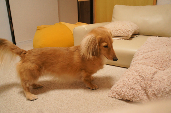 2014020704.jpg