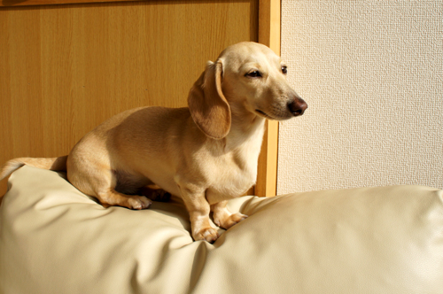2012042502