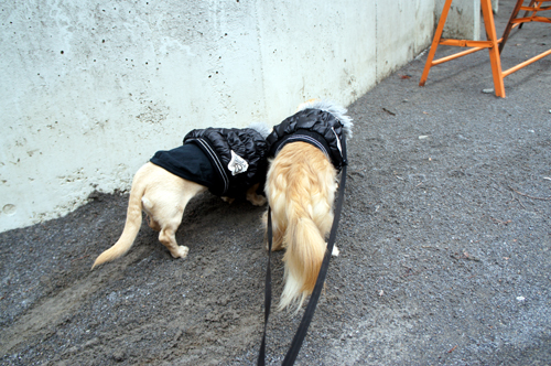 2012030814