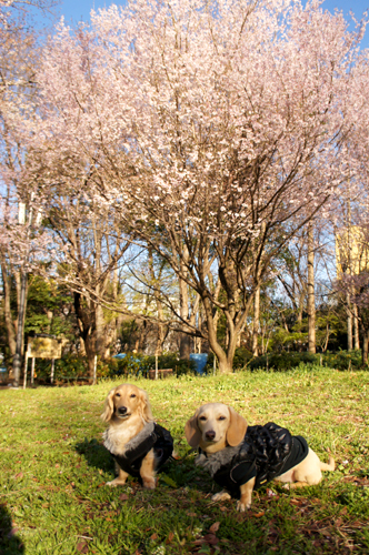 2012040512