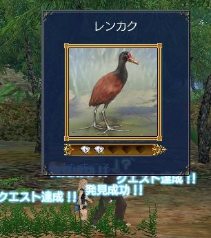 20131130054104_発見物発見_レンカク_3