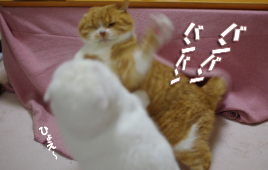 連続パンチをういう^3--3-3のコピー