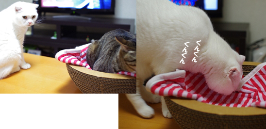 ちょこのうしろできにしてる330402333定 1のコピー