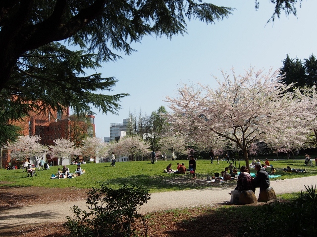 P4280015 (640x480)