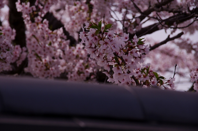 F5_S1278 (640x424)