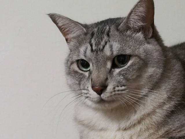 P5030069 (640x480)