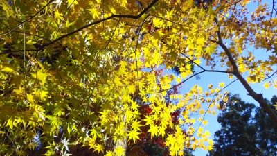 2013-11-21-01.jpg