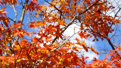 2013-11-21-03.jpg