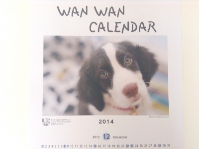 2013-12-12-01.jpg